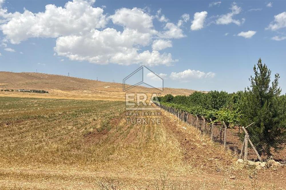 Binatlı köyünde satılık müstakil tarla