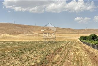 Binatlı köyünde satılık müstakil tarla