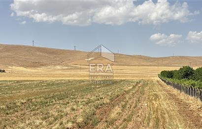 Binatlı köyünde satılık müstakil tarla