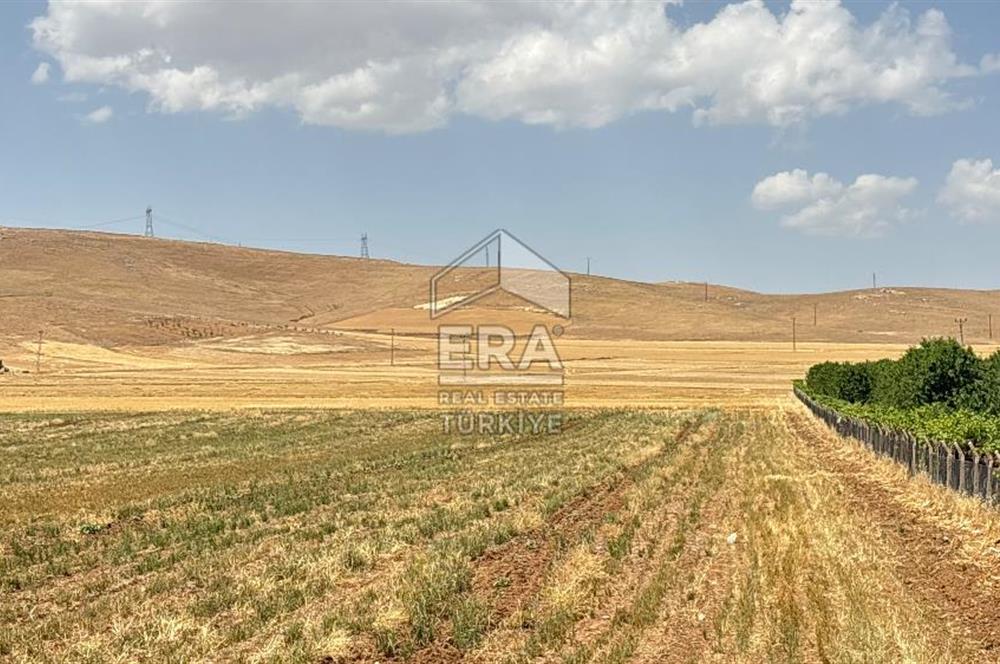 Binatlı köyünde satılık müstakil tarla