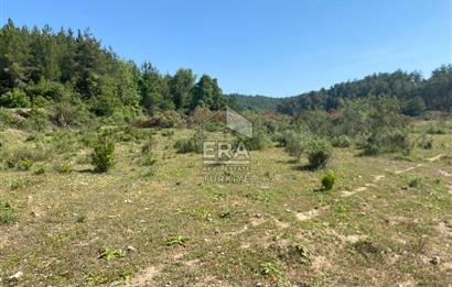 Antalya Manavgat Uzunlar Satılık Tarla