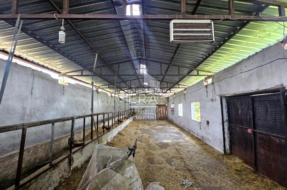 Kemalpaşa Ören 3.162 m2 Satılık Çiftlik