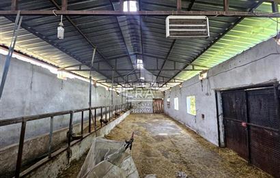 Kemalpaşa Ören 3.162 m2 Satılık Çiftlik