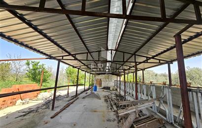 Kemalpaşa Ören 3.162 m2 Satılık Çiftlik