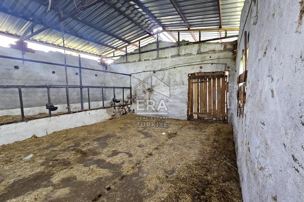 Kemalpaşa Ören 3.162 m2 Satılık Çiftlik