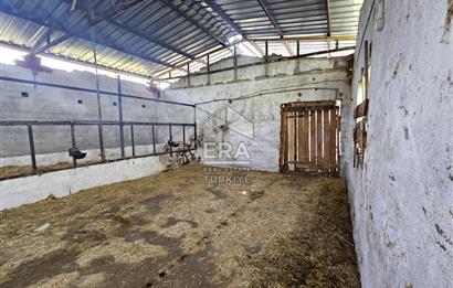 Kemalpaşa Ören 3.162 m2 Satılık Çiftlik