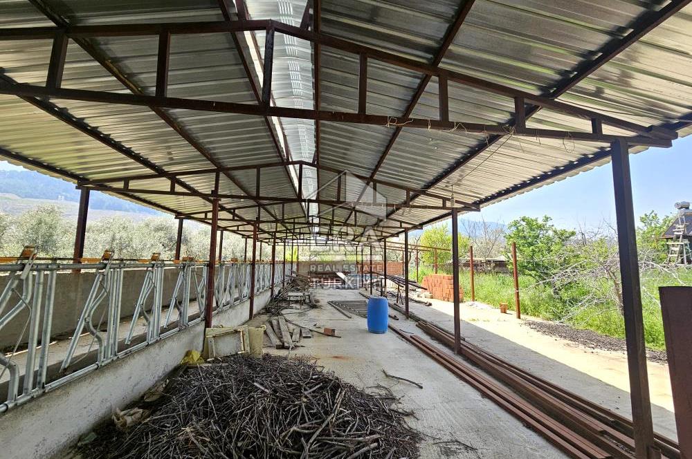 Kemalpaşa Ören 3.162 m2 Satılık Çiftlik