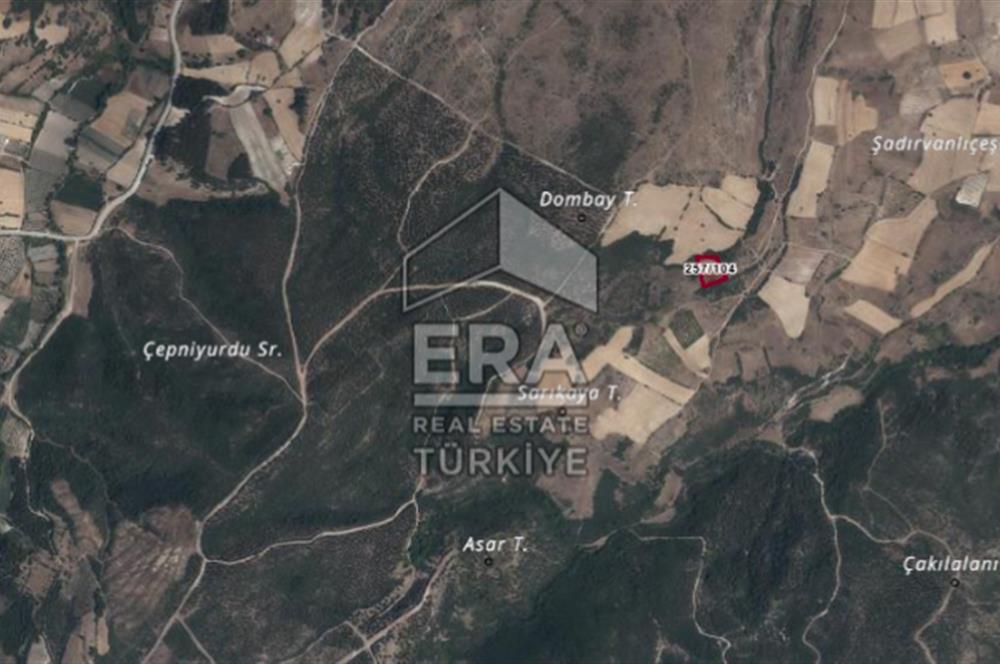 ERA PORT GÜVENCESİYLE BALIKESİR PAMUKÇU DA 4164m² TARLA