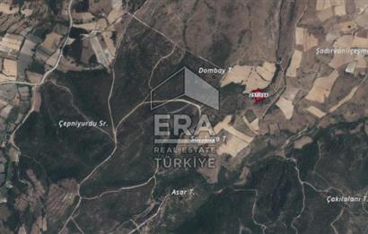 ERA PORT GÜVENCESİYLE BALIKESİR PAMUKÇU DA 4164m² TARLA