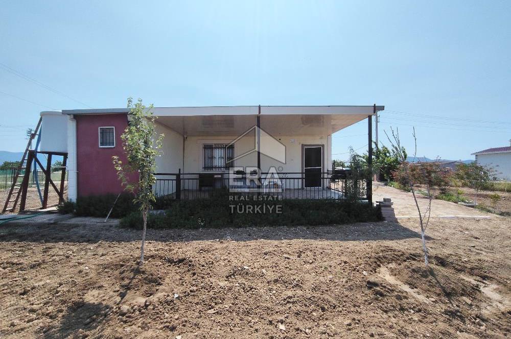 İzmir Menderes Tekeli İçinde Ev Olan Meyve Ağaçlı Tarla Satılık