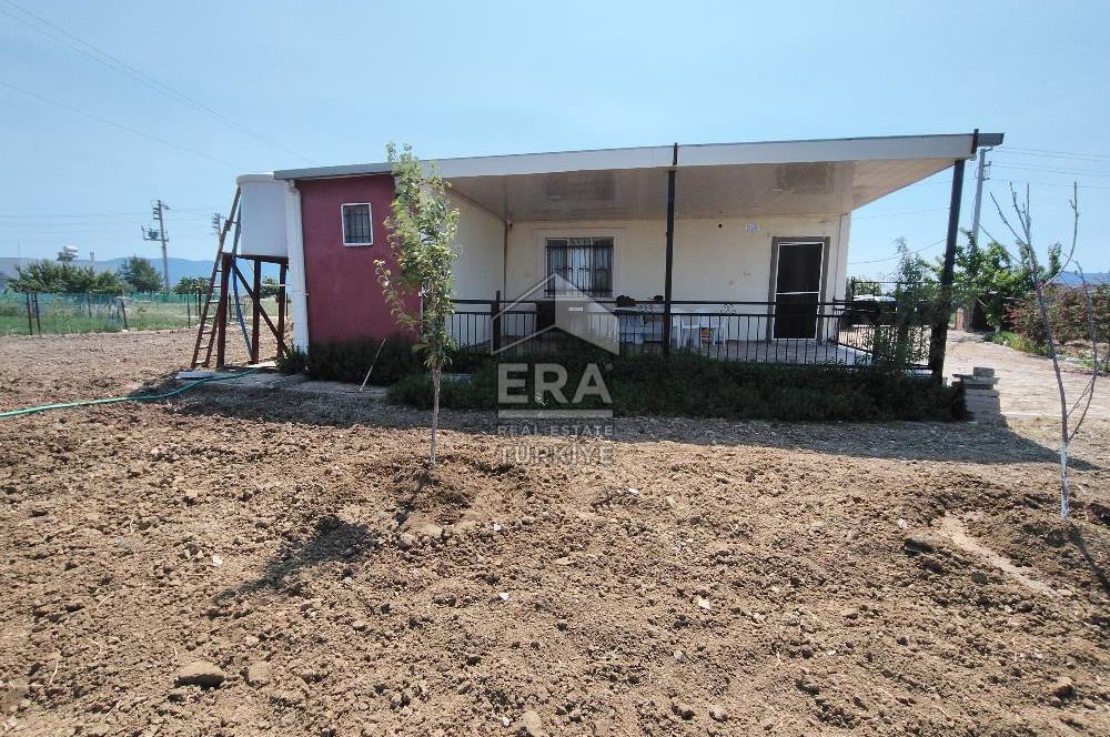 İzmir Menderes Tekeli İçinde Ev Olan Meyve Ağaçlı Tarla Satılık