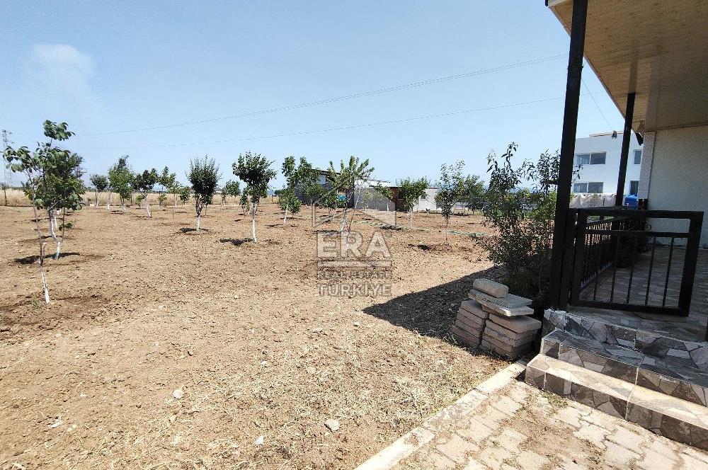 İzmir Menderes Tekeli İçinde Ev Olan Meyve Ağaçlı Tarla Satılık