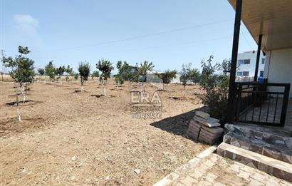 İzmir Menderes Tekeli İçinde Ev Olan Meyve Ağaçlı Tarla Satılık