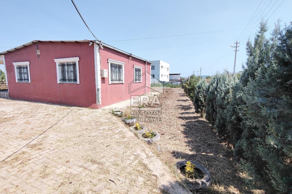 İzmir Menderes Tekeli İçinde Ev Olan Meyve Ağaçlı Tarla Satılık