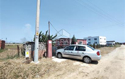 İzmir Menderes Tekeli İçinde Ev Olan Meyve Ağaçlı Tarla Satılık