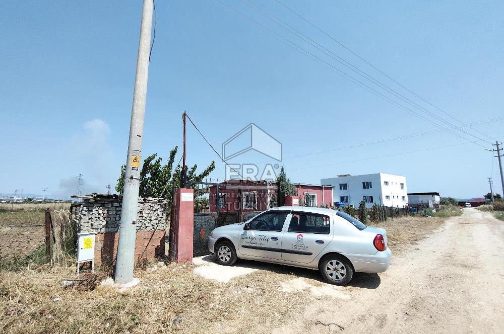 İzmir Menderes Tekeli İçinde Ev Olan Meyve Ağaçlı Tarla Satılık