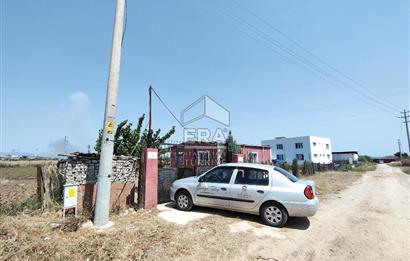 İzmir Menderes Tekeli İçinde Ev Olan Meyve Ağaçlı Tarla Satılık