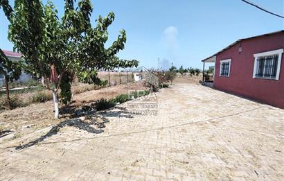 İzmir Menderes Tekeli İçinde Ev Olan Meyve Ağaçlı Tarla Satılık