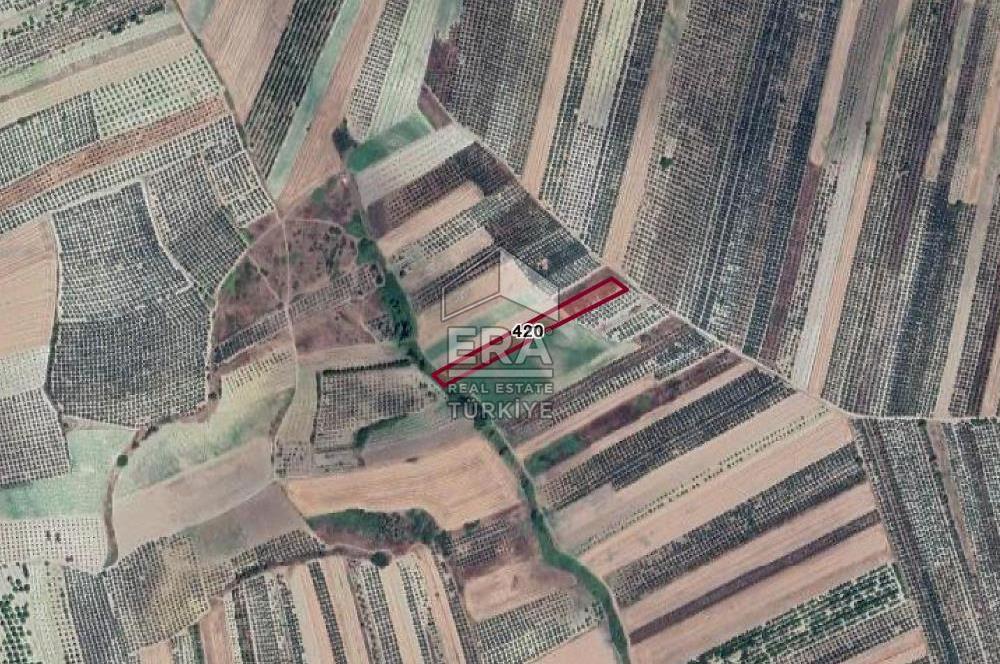 ERA SÖZ DEN BURSA KARACABEY İSMETPAŞA MAH. SATILIK 4900M² TARLA