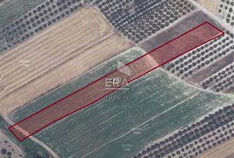 ERA SÖZ DEN BURSA KARACABEY İSMETPAŞA MAH. SATILIK 4900M² TARLA