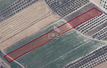 ERA SÖZ DEN BURSA KARACABEY İSMETPAŞA MAH. SATILIK 4900M² TARLA