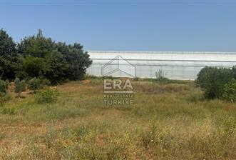 MANAVGAT ULUKAPI'DA İMAR SINIRINDA 1471 M2 SATILIK TARLA