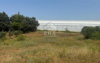MANAVGAT ULUKAPI'DA İMAR SINIRINDA 1471 M2 SATILIK TARLA