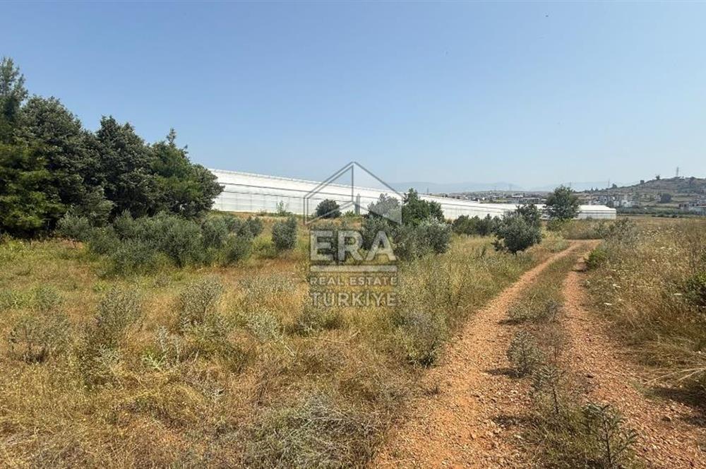 MANAVGAT ULUKAPI'DA İMAR SINIRINDA 1471 M2 SATILIK TARLA