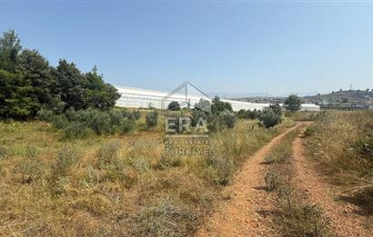 MANAVGAT ULUKAPI'DA İMAR SINIRINDA 1471 M2 SATILIK TARLA