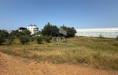 MANAVGAT ULUKAPI'DA İMAR SINIRINDA 1471 M2 SATILIK TARLA