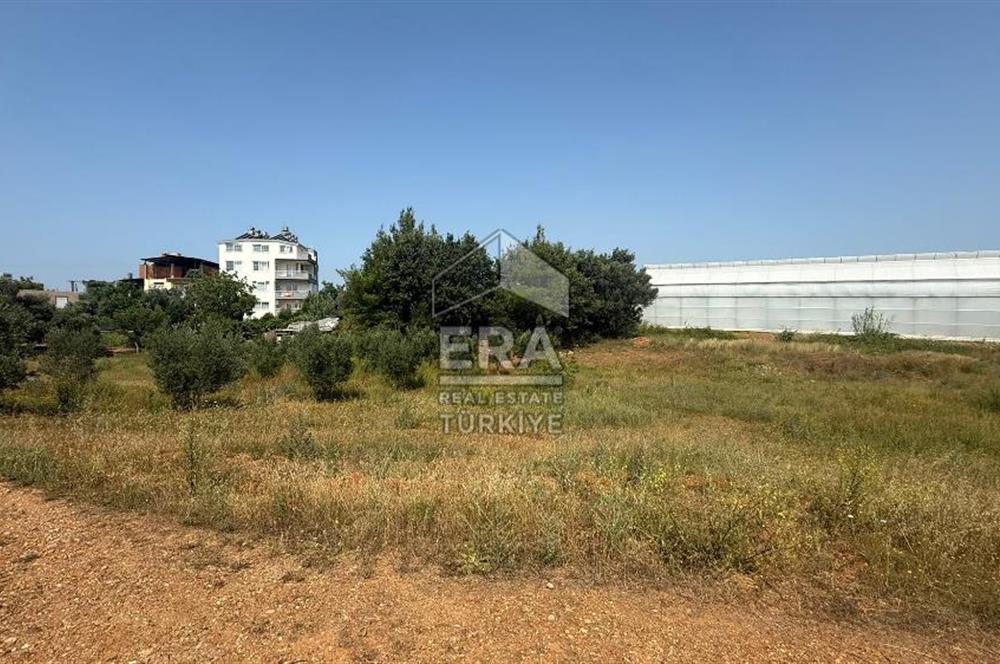 MANAVGAT ULUKAPI'DA İMAR SINIRINDA 1471 M2 SATILIK TARLA