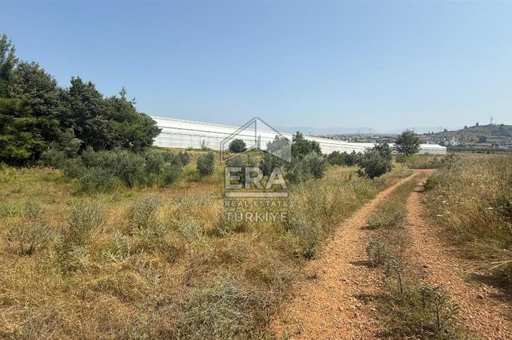 MANAVGAT ULUKAPI'DA İMAR SINIRINDA 1471 M2 SATILIK TARLA