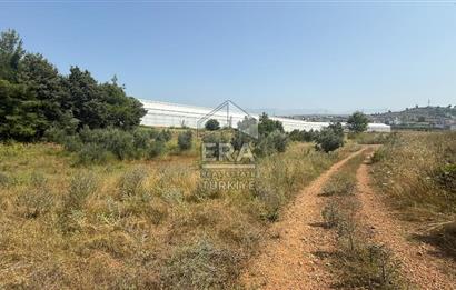 MANAVGAT ULUKAPI'DA İMAR SINIRINDA 1471 M2 SATILIK TARLA