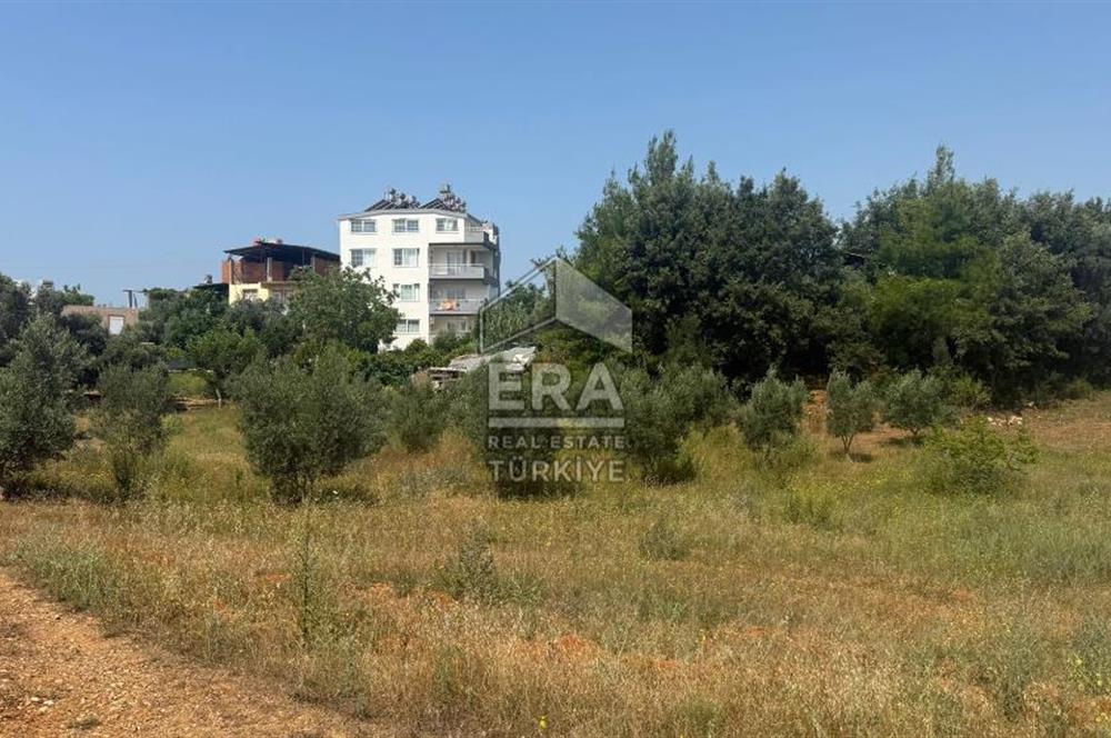 MANAVGAT ULUKAPI'DA İMAR SINIRINDA 1471 M2 SATILIK TARLA