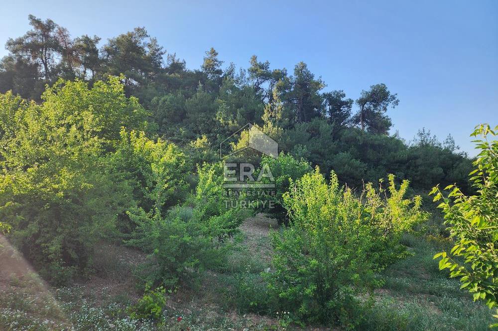 GÜNEY KÜYÜNDE ORMAN ARAZİSİNE KOMŞU 2 KAT İMARLI 2063 M2 ARSA