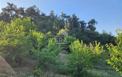 GÜNEY KÜYÜNDE ORMAN ARAZİSİNE KOMŞU 2 KAT İMARLI 2063 M2 ARSA