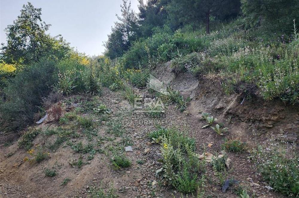 GÜNEY KÜYÜNDE ORMAN ARAZİSİNE KOMŞU 2 KAT İMARLI 2063 M2 ARSA