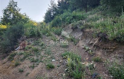 GÜNEY KÜYÜNDE ORMAN ARAZİSİNE KOMŞU 2 KAT İMARLI 2063 M2 ARSA