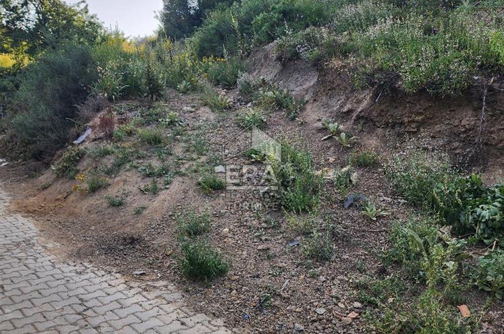 GÜNEY KÜYÜNDE ORMAN ARAZİSİNE KOMŞU 2 KAT İMARLI 2063 M2 ARSA