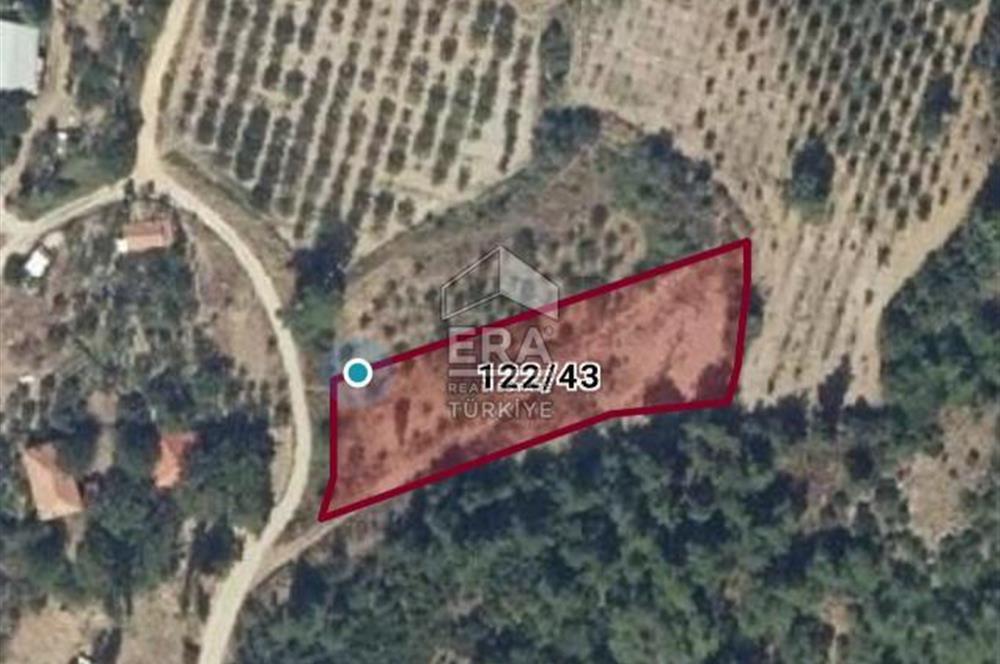 GÜNEY KÜYÜNDE ORMAN ARAZİSİNE KOMŞU 2 KAT İMARLI 2063 M2 ARSA