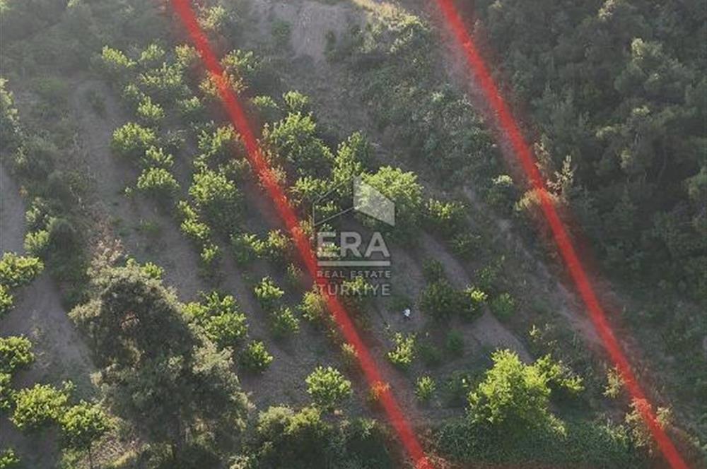 GÜNEY KÜYÜNDE ORMAN ARAZİSİNE KOMŞU 2 KAT İMARLI 2063 M2 ARSA