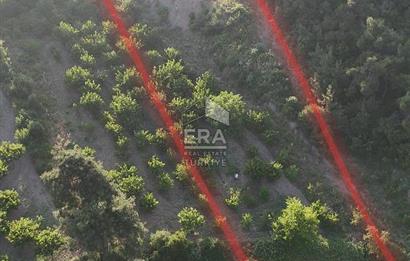 GÜNEY KÜYÜNDE ORMAN ARAZİSİNE KOMŞU 2 KAT İMARLI 2063 M2 ARSA