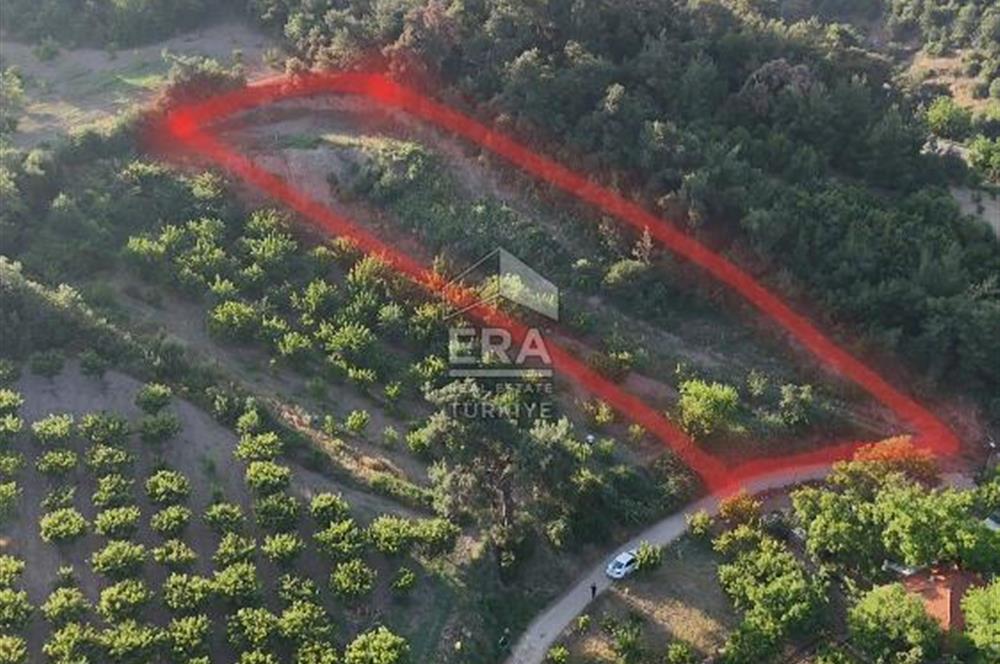 GÜNEY KÜYÜNDE ORMAN ARAZİSİNE KOMŞU 2 KAT İMARLI 2063 M2 ARSA