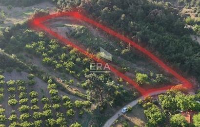 GÜNEY KÜYÜNDE ORMAN ARAZİSİNE KOMŞU 2 KAT İMARLI 2063 M2 ARSA