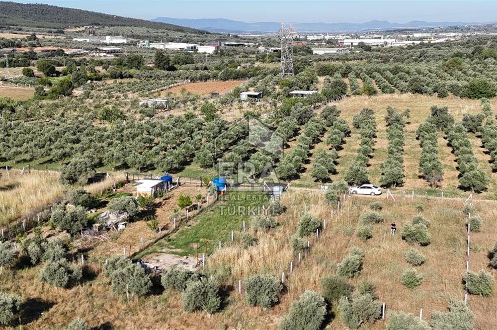 TORBALI DİRMİL TOPTEPESİ MEVKİİNDE 632 m² HİSSE TAPULU ARSA