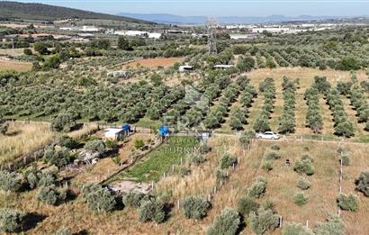 TORBALI DİRMİL TOPTEPESİ MEVKİİNDE 632 m² HİSSE TAPULU ARSA
