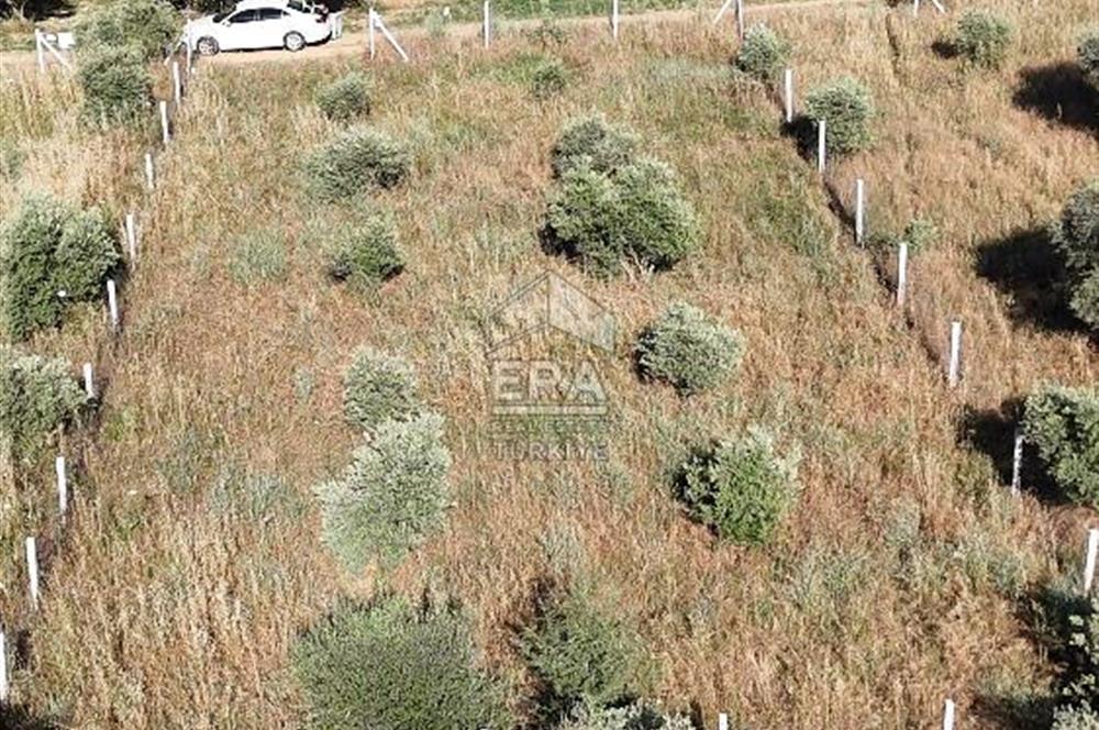 TORBALI DİRMİL TOPTEPESİ MEVKİİNDE 632 m² HİSSE TAPULU ARSA