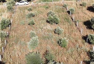 TORBALI DİRMİL TOPTEPESİ MEVKİİNDE 632 m² HİSSE TAPULU ARSA