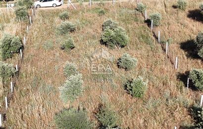 TORBALI DİRMİL TOPTEPESİ MEVKİİNDE 632 m² HİSSE TAPULU ARSA