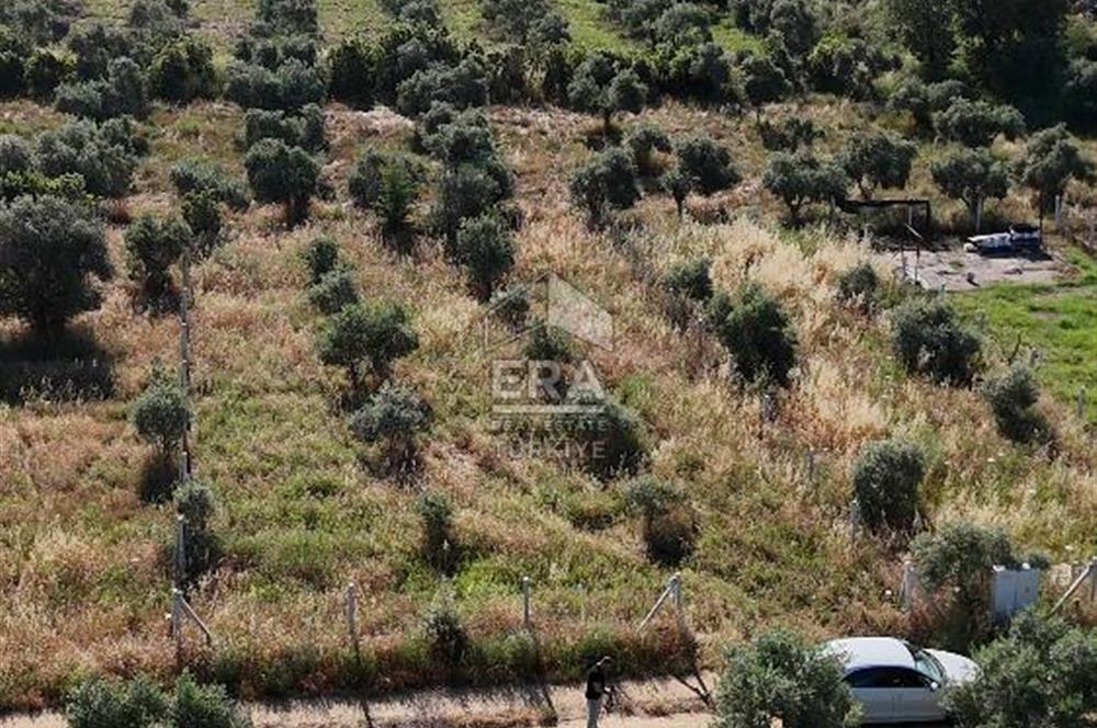TORBALI DİRMİL TOPTEPESİ MEVKİİNDE 632 m² HİSSE TAPULU ARSA